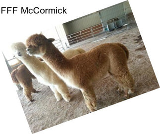 FFF McCormick