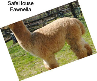SafeHouse Fawnella
