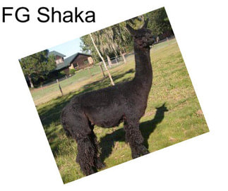 FG Shaka