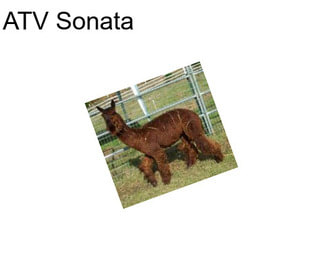 ATV Sonata