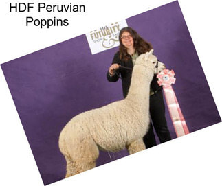 HDF Peruvian Poppins