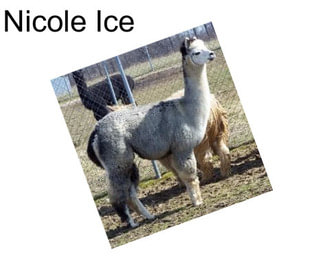 Nicole Ice