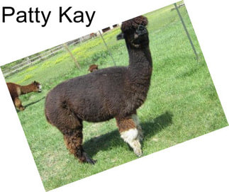 Patty Kay