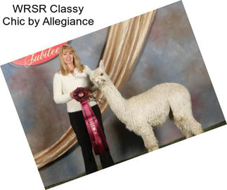 WRSR Classy Chic by Allegiance