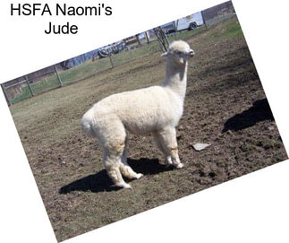 HSFA Naomi\'s Jude