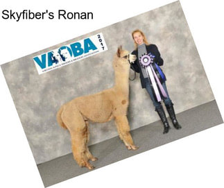 Skyfiber\'s Ronan