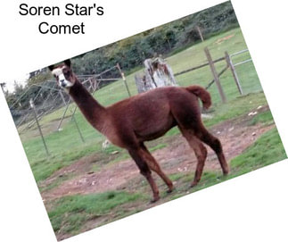 Soren Star\'s Comet