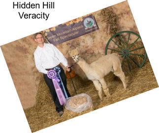 Hidden Hill Veracity