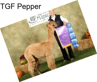TGF Pepper