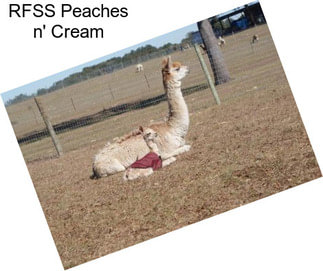 RFSS Peaches n\' Cream