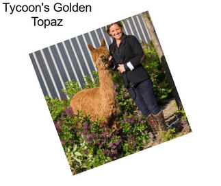 Tycoon\'s Golden Topaz