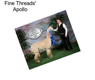 Fine Threads\' Apollo
