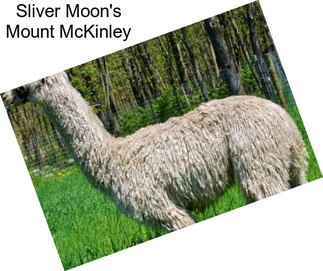 Sliver Moon\'s Mount McKinley