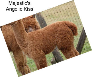 Majestic\'s Angelic Kiss