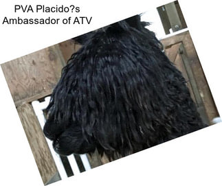 PVA Placido?s Ambassador of ATV