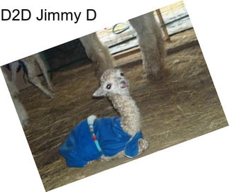 D2D Jimmy D