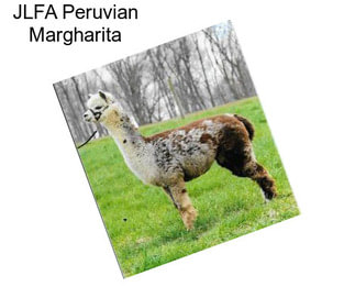 JLFA Peruvian Margharita