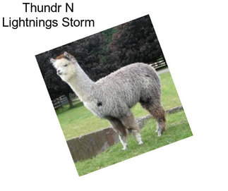 Thundr N Lightnings Storm