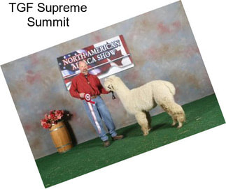 TGF Supreme Summit
