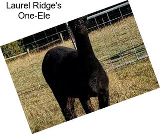 Laurel Ridge\'s One-Ele
