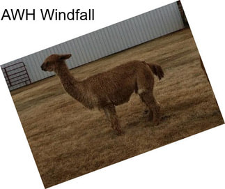 AWH Windfall