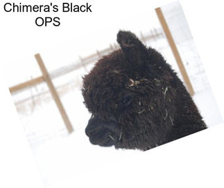 Chimera\'s Black OPS