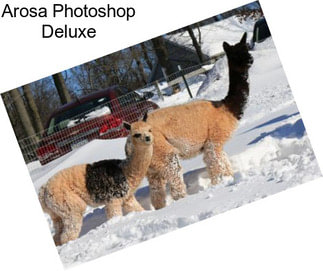 Arosa Photoshop Deluxe
