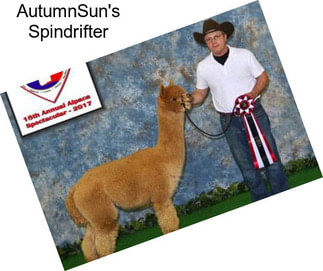 AutumnSun\'s Spindrifter