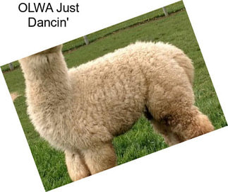 OLWA Just Dancin\'