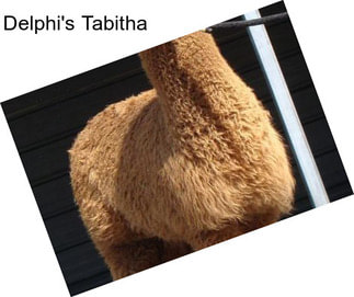 Delphi\'s Tabitha
