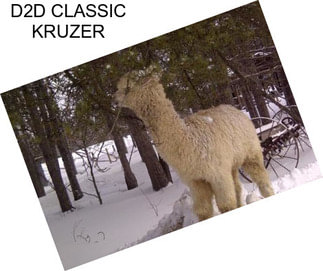 D2D CLASSIC KRUZER