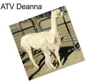 ATV Deanna