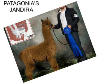 PATAGONIA\'S JANDIRA