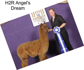 H2R Angel\'s Dream