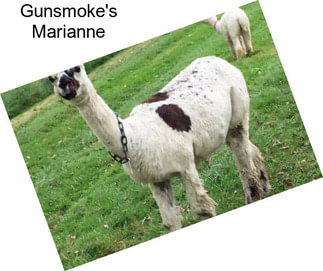 Gunsmoke\'s Marianne