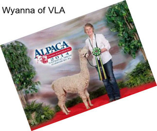 Wyanna of VLA