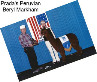 Prada\'s Peruvian Beryl Markham