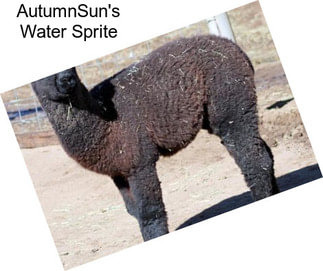 AutumnSun\'s Water Sprite