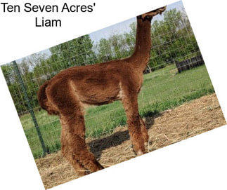 Ten Seven Acres\' Liam