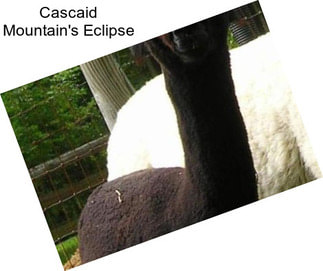 Cascaid Mountain\'s Eclipse