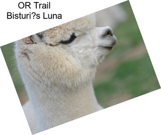 OR Trail Bisturi?s Luna