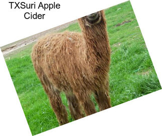 TXSuri Apple Cider