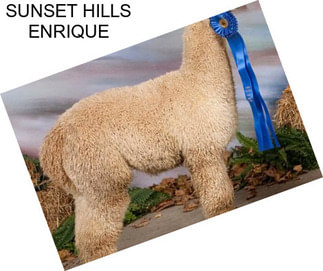 SUNSET HILLS ENRIQUE