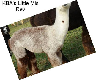 KBA\'s Little Mis Rev