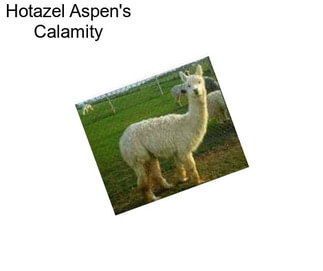 Hotazel Aspen\'s Calamity