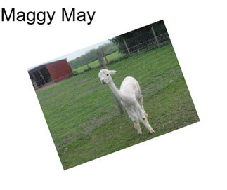 Maggy May