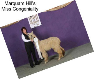 Marquam Hill\'s Miss Congeniality