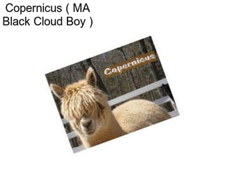 Copernicus ( MA Black Cloud Boy )