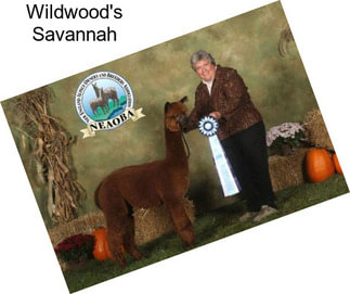 Wildwood\'s Savannah