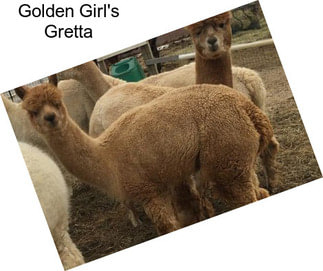 Golden Girl\'s Gretta